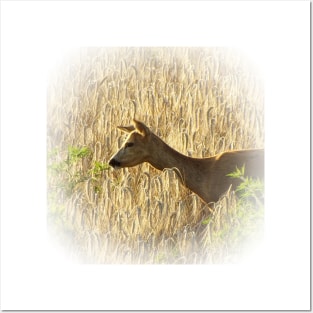 Roe deer Posters and Art